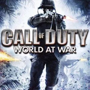 Call Of Duty: World at War - Steam ключ