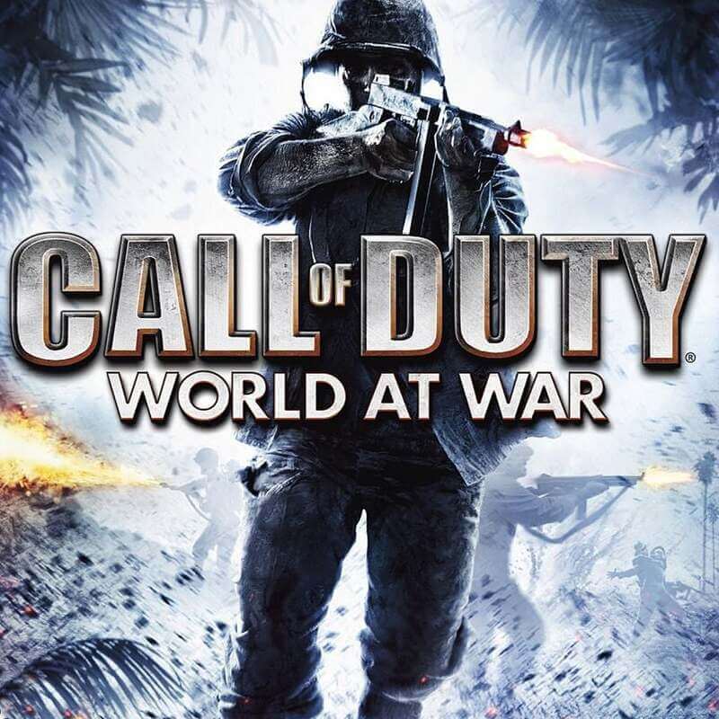 Call Of Duty: World at War - Steam ключ