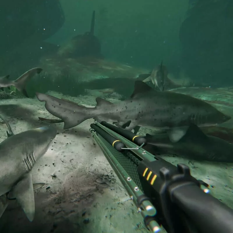 Изображение игры Death in the Water 2 Death in the Water 2 - Steam ключ