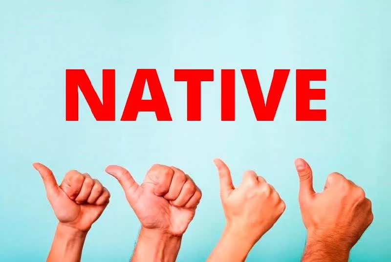 Изображение игры Монетизация Ютуб канала - правильный путь к заработку Монетизация с помощью нативной рекламы